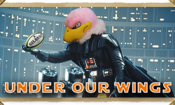Space City 7’s Rugby Tournament to benefit Under Our Wings